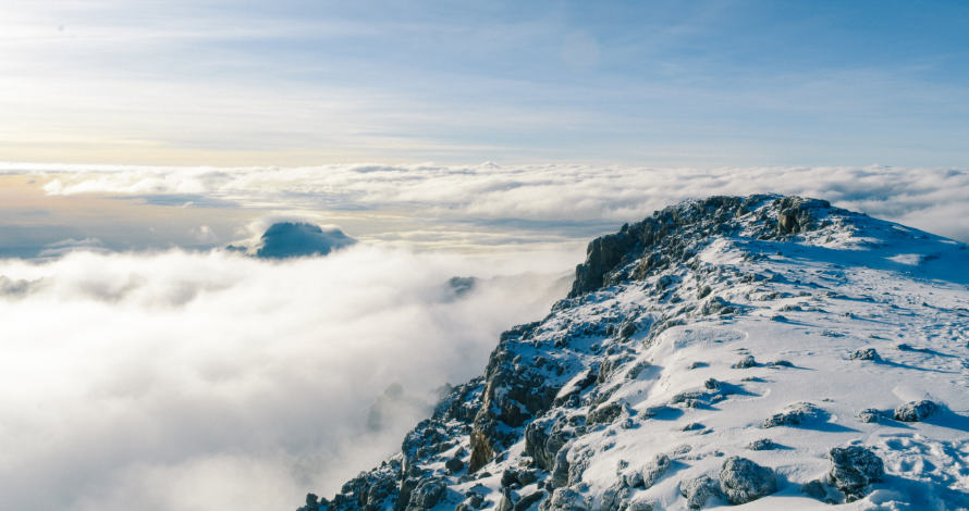 Founder doggedness and the will to win